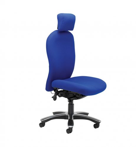 Blue Posturemax 200 with headrest