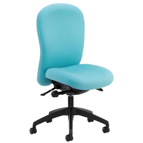 Posturemax Back Care Chair – P73 S